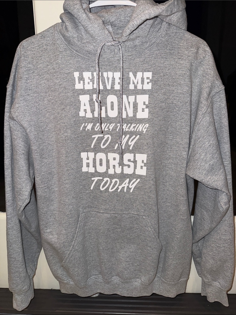 Gray Graphic Hoodie "Leave Me Alone I'm Only Talking To My Horse Today"